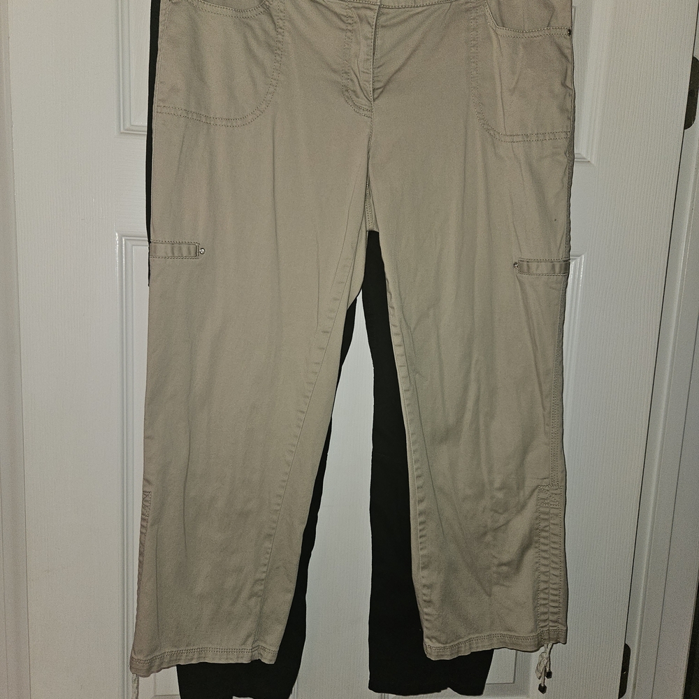 2 Pair White House Black Market Black and Beige Pants